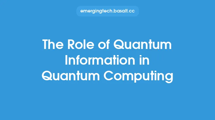 The Role of Quantum Information in Quantum Computing Thumbnail